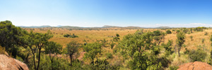 Moloto View Panorama (VR)